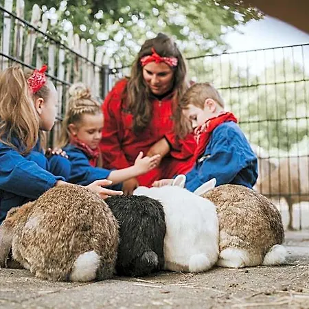 Dierenbos Vakantiepark