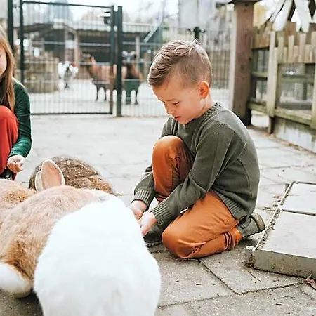 Dierenbos Vakantiepark 3*