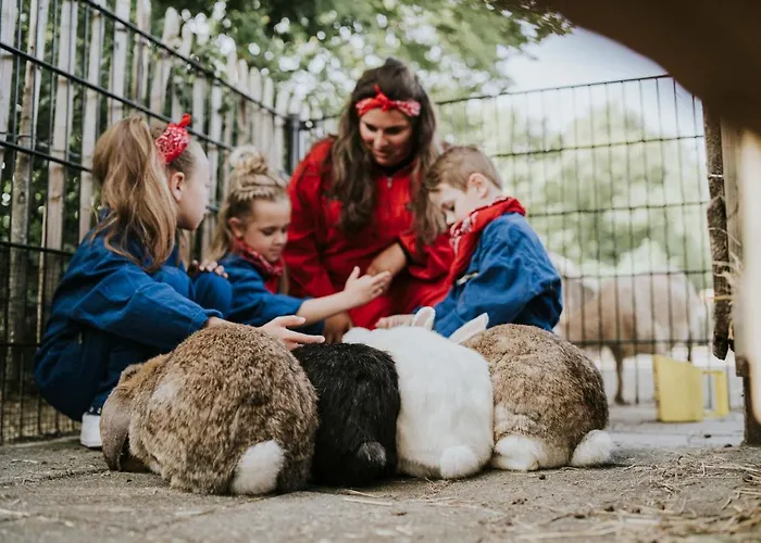 Dierenbos Πάρκο διακοπών Vinkel