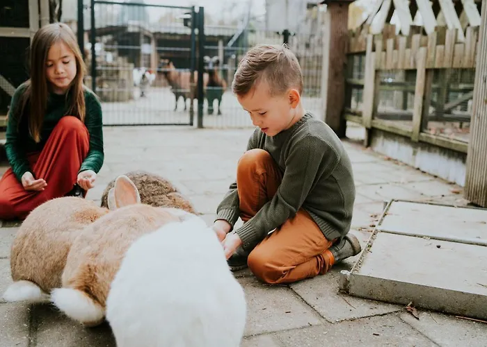 Πάρκο διακοπών Dierenbos Vinkel