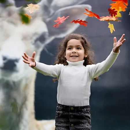 Dierenbos منتزه العطل Vinkel