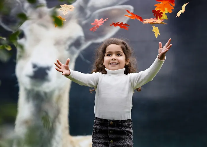 Dierenbos Village de vacances Vinkel